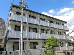 大阪府堺市堺区北三国ヶ丘町8【マンション】の外観