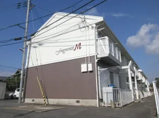 フレグランスMの画像