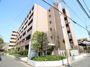 パレ上新庄【6階】の外観