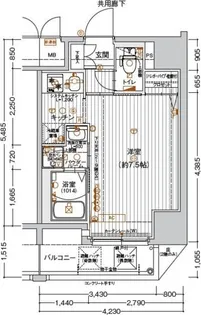 MJC神戸ブレイヴ【8階】の間取り