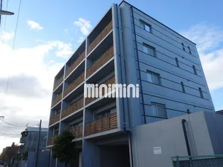 ヒルズ花の木の画像