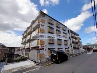 ドムール芝高の画像