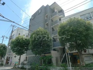 クィールの画像