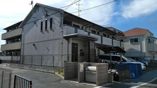 SOLEAD TANIMURAの画像