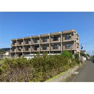 ピュアル1の画像