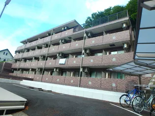 スターダスト晴貞の画像