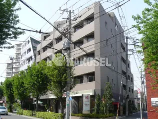 エルカスティージョ ムサシの画像