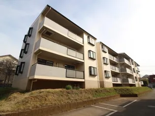 センターパーク新柏A棟の画像