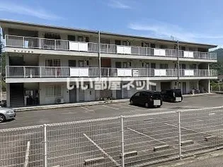 コージン田尾の画像