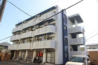 フリージアの画像