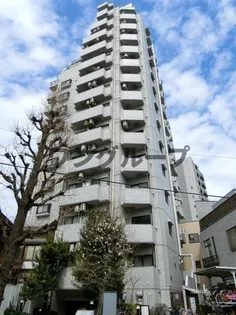 ライオンズプラザ白山【11階】の外観