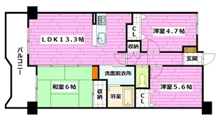 ダイアパレス向洋【5階】の間取り