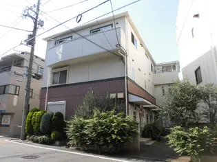 オリーブの画像