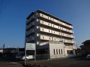 クオリティハイツZAO【6階】の外観