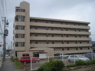 プラザ伏木(ふしき)【2階】の外観