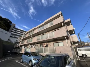 トータスハイムIIの画像