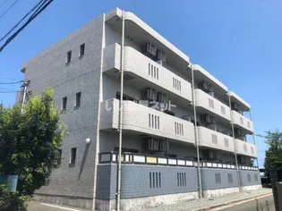 テージスIIの画像