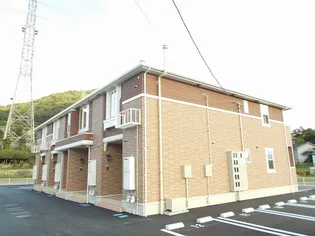 コッティ プリムローズの画像