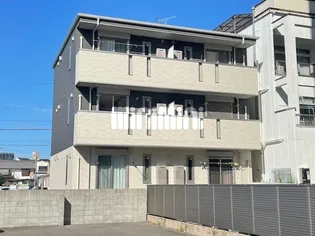 アンスリウムの画像