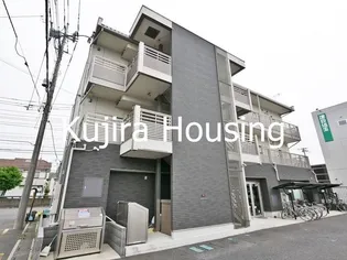 ミランダトーラスの画像