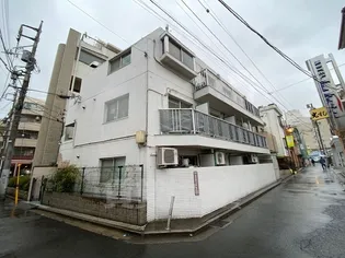 吉祥寺サウスフラット【1階】の外観