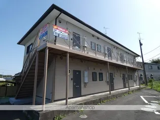 SAKURAの画像