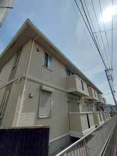 アマービリスの画像