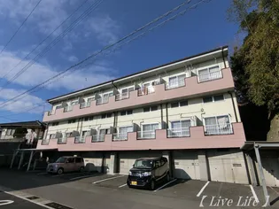 コンフォート岡【1階】の外観