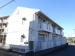 花きゃべつの画像