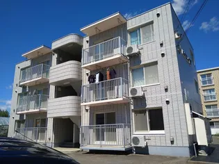 ピュアライフ17の画像