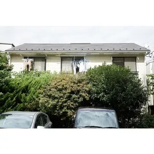 まいむ石塚の画像