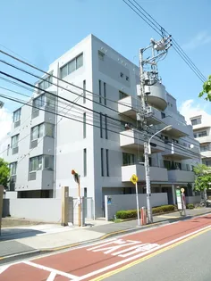 シャネックスの画像