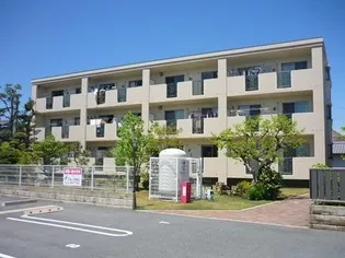 ビラミナミの画像