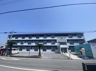 ハミルトン プリンセスの画像