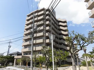 サーパス西津田IIの画像