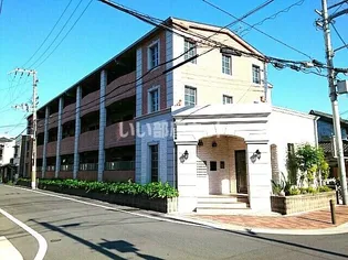 セレンディピティ プレシャスの画像