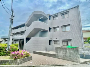 ドムール林の画像