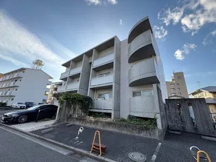 プラッツの画像