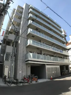 クリプトメリア日本橋の画像