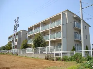 HILLSーT'Sの画像