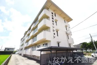 徳島県阿南市見能林町大作半【マンション】の外観