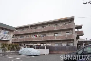 パディーフィールド21の画像