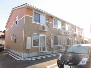 オリーブの画像