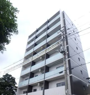 ミリアビタNO 33の画像