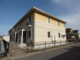 グレースMの画像