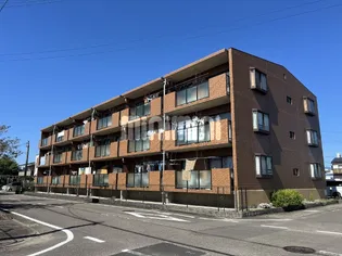 グラシアの画像