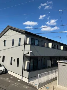 カメリアの画像