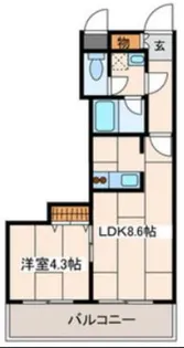 ベルヴェデーレ【1階】の間取り