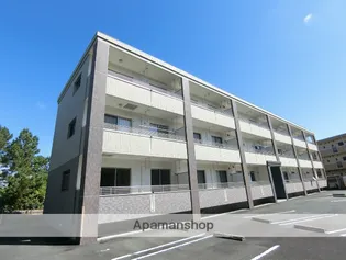 ベタニアの画像