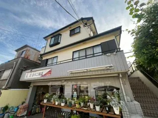 ステラAの画像